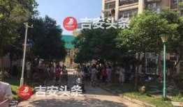 阳光新城最新爆料信息,揭秘神秘项目背后的惊人真相