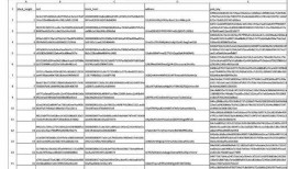 澳本聪最新爆料,揭秘比特币创始人身份之谜